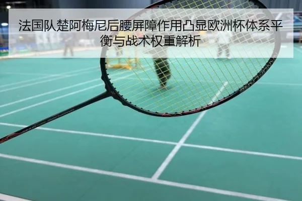 法国队楚阿梅尼后腰屏障作用凸显欧洲杯体系平衡与战术权重解析